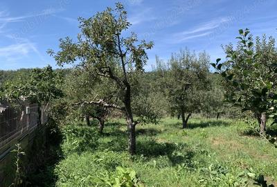 Teren în Boțești - 2