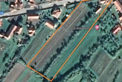Casă cu Teren 5700 Mp în Central