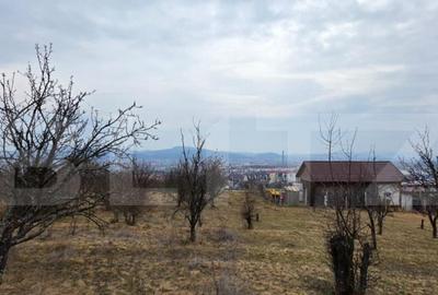 Teren extravilan de vanzare, 900 mp, Bistrita - 2