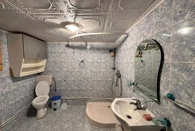 Vand Casa in Dalboset - 6