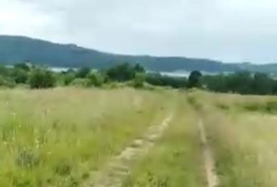Teren de 11600 mp, în Fârdea - 2