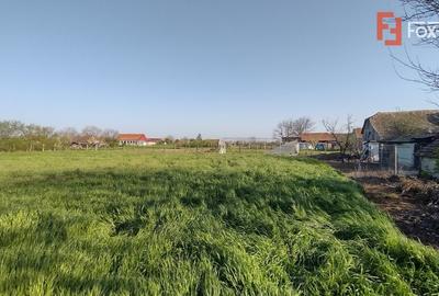 COMISION 0% Casa individuala 5 camere Checea - Gospodarie si teren 1789 mp - 28