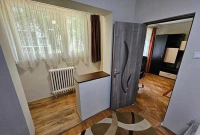 Dambu Pietros - Inchiriere apartament 2 camere - Str. Parangului - 3
