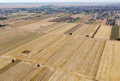 Teren Construcții intravilan de 320 mp, în Berceni