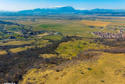 Teren de 60100 mp, în Central - 2