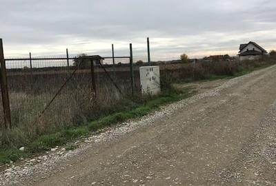 Terenuri Peris - loturi de 800 mp +130mp drum acces - 7