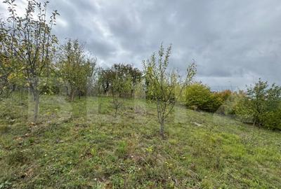 Teren intravilan 1200 mp, zona Zavoi - 3