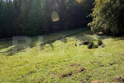 Teren intravilan 28 Ari zona Colibita - 5