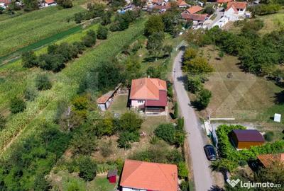 Casă cu 3 camere cu Teren 4000 Mp în Rovina (Brănișca) - 2