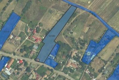 Teren de 3268 mp, în Burila Mare - 1