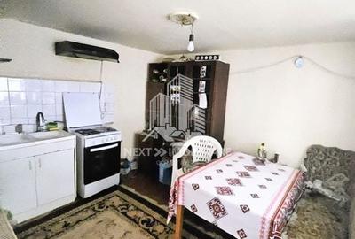 Casa 3 camere cu teren de 1137mp, in Lumina pe  strada Morii - 6