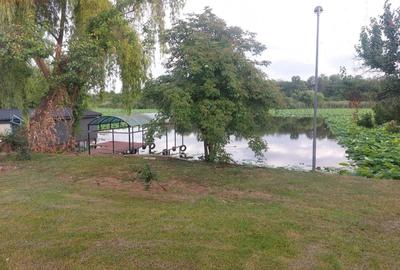 Snagov - Tancabesti - 14