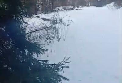 Teren extravilan de 8179 mp, în Cârlibaba Nouă - 5