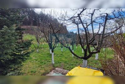 Casă cu 4 camere cu Canalizare în Micești - 31