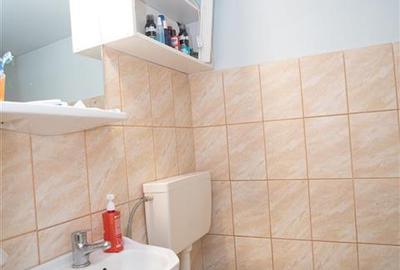 Casă cu 7 camere cu Teren 570 Mp în Rogerius - 8