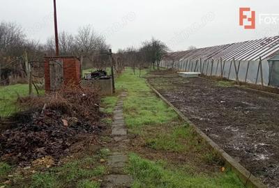 Casa individuala cu 5 camere de inchiriat zona Aradul Nou - 1