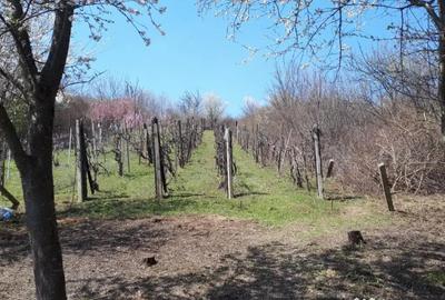 Teren în Cristian - 2