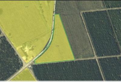 Teren de 3755 mp, în Șorogari