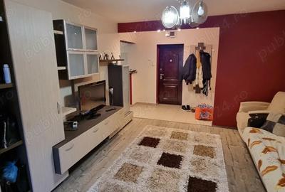 De vanzare apartament recent renovat si amenajat, cu 2 camere in Cartierul Dambu pe Str Ion Buteanu, - 7