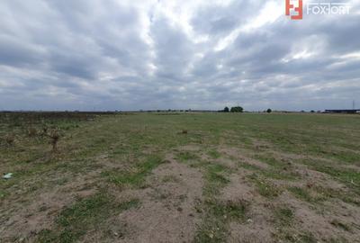 COMISION 0% Teren intravilan 1255 mp cu Puz aprobat, zona Giroc - 9