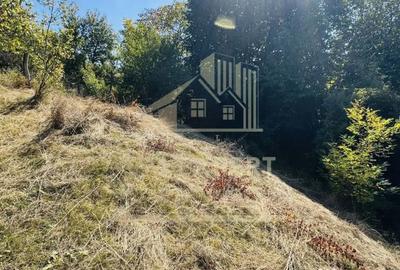 Teren de 3234 mp, în Lerești