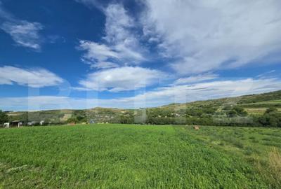 Teren intravilan, construibil in MACICASU , 3 KM de la Chint - 2