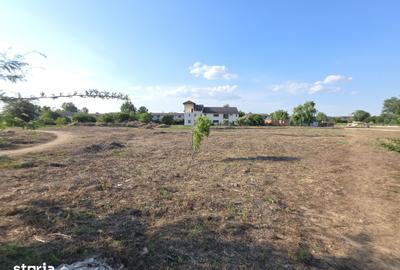 Teren de 3050 mp, în 1 Decembrie - 12