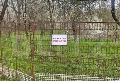 Teren 784 mp, Nistoresti, jud Prahova - 4