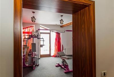 Teren Construcții intravilan de 30000 mp, în Exterior Est - 43