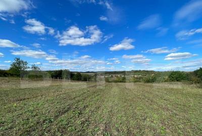 De Vanzare - Teren Intravilan, Localitatea Sumugiu - 3