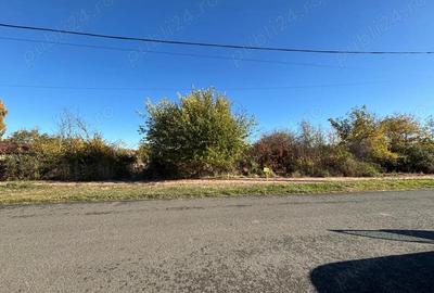 Proprietar vand teren 1439 mp pe strada DEJ, oras Sanicolau Mare - 5