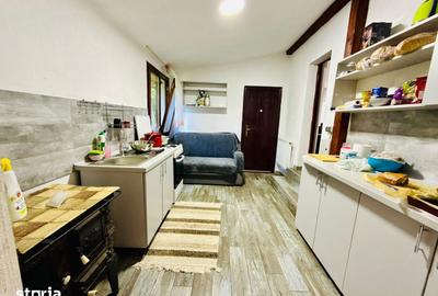 Casă cu 4 camere cu Teren 5500 Mp în Pojorâta - 8
