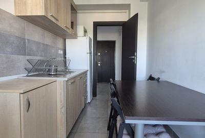 Apartament cu 2 camere decomandat, mobilat în Parcul Carol - 7