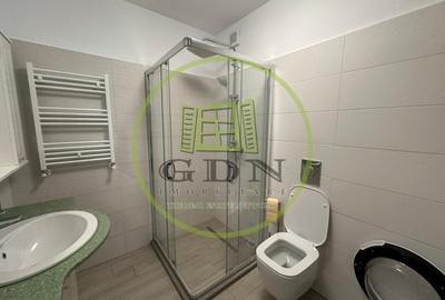 Apartament, 2 camere, 60 mp, open space, Lapus Arges , Zona Trenul Pierdut - 6