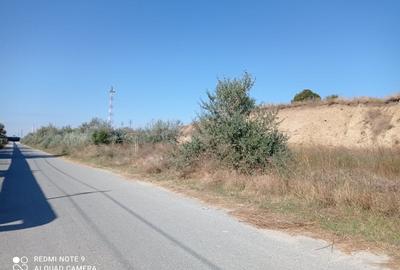 OCAZIE! CAP MIDIA -teren intravilan cu PUZ -5.000 mp, situat lângă mare! - 11