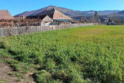 Teren intravilan Stejaru, 1700mp - 1