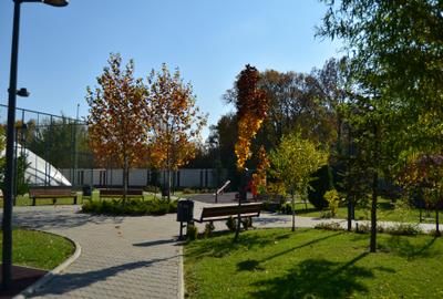 Casă individuală cu 7 camere cu Garaj în Pipera - 5