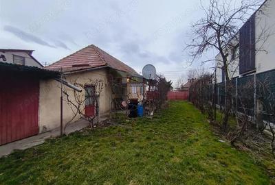 Casă cu 3 camere cu Teren 2000 Mp în Criș - 9