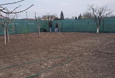 Buturugeni Posta - 18