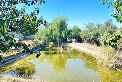 Casa si teren 3567 mp cu piscina, livada si helesteu  Corlatesti - 2