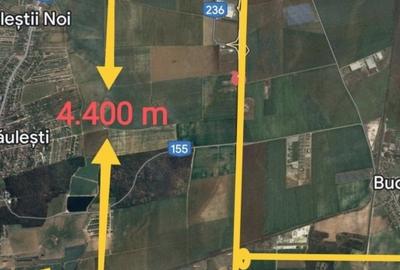 Teren agricol extravilan de 65000 mp, în Păulești - 2