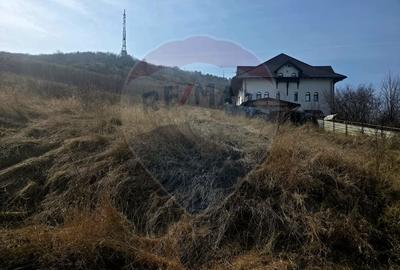 Teren Construcții intravilan de 500 mp, în Calea Romanului - 1