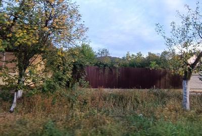 🏡  Casă de Poveste în Șiria, Arad- Locație Rară - 3