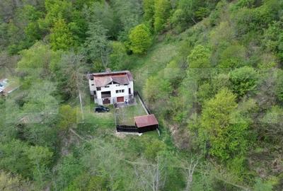 Casă cu Teren 2000 Mp în Râmeț - 18