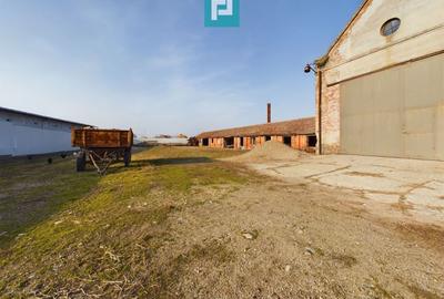 Teren și hale pe calea Aradului în Periam - 11