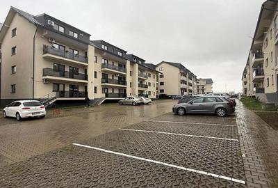 Vand ap.Doamna Stanca - 2