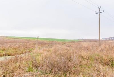 CERNICA - POSTA - TEREN INTRAVILAN CONSTRUCTII 15000 MP! - 6