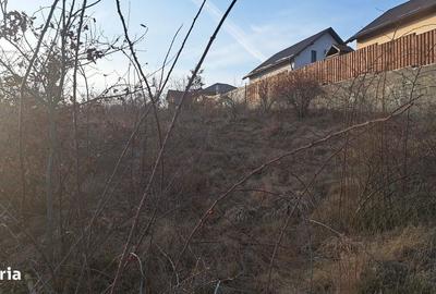 Spațiu comercial, în Livezeni - 4