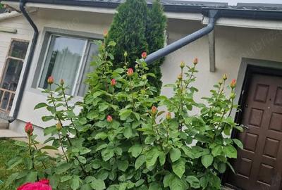 Casă în Săbăreni - 2