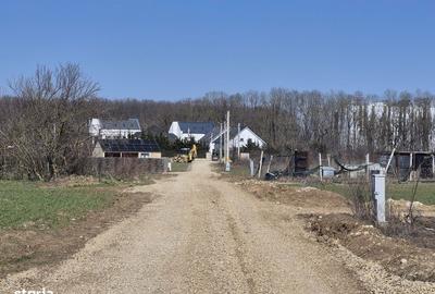 Spațiu comercial, în Balotești - 7